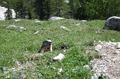 Dalla lunga camminata al Santuario di Caravaggio il 23 maggio al weekend in Alta Badia il 30 maggio-1 giugno - FOTOGALLERY